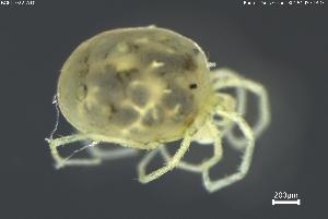  ( - BGPT_022_A10)  @11 [ ] Creative Commons Attribution NonCommercial ShareAlike (2025) (2025) Research Center in Biodiversity and Genetic Resources Research Center in Biodiversity and Genetic Resources