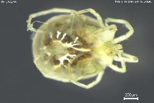  ( - BGPT_022_A10)  @11 [ ] Creative Commons Attribution NonCommercial ShareAlike (2025) (2025) Research Center in Biodiversity and Genetic Resources Research Center in Biodiversity and Genetic Resources