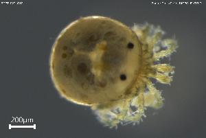  ( - BGPT_022_G10)  @11 [ ] Creative Commons Attribution NonCommercial ShareAlike (2025) (2025) Research Center in Biodiversity and Genetic Resources Research Center in Biodiversity and Genetic Resources