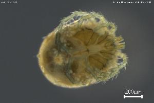  ( - BGPT_022_G10)  @11 [ ] Creative Commons Attribution NonCommercial ShareAlike (2025) (2025) Research Center in Biodiversity and Genetic Resources Research Center in Biodiversity and Genetic Resources