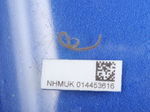  ( - NHMUK014453616)  @11 [ ] Unspecified (default): All Rights Reserved  Unspecified Unspecified