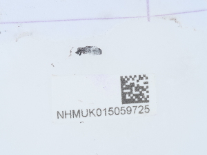  ( - NHMUK015059725)  @11 [ ] Unspecified (default): All Rights Reserved  Unspecified Unspecified