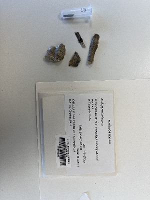  ( - BGE_00281_B07)  @11 [ ] CreativeCommons Attribution NonCommercial ShareAlike (2025) Dylan Stephens Royal Botanic Garden, Edinburgh