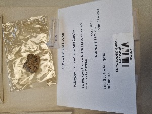  ( - BGE_00281_C08)  @11 [ ] CreativeCommons Attribution NonCommercial ShareAlike (2025) Dylan Stephens Royal Botanic Garden, Edinburgh