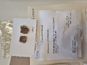  ( - BGE_00281_C12)  @11 [ ] CreativeCommons Attribution NonCommercial ShareAlike (2025) Dylan Stephens Royal Botanic Garden, Edinburgh