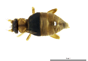  ( - cvb209pho007)  @12 [ ] No Rights Reserved  Christoph von Beeren TU Darmstadt