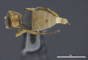  ( - cvb410pho001)  @12 [ ] No Rights Reserved  Christoph von Beeren TU Darmstadt