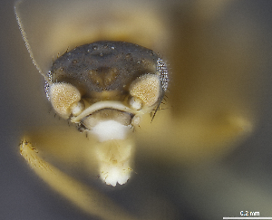  ( - cvb410pho001)  @12 [ ] No Rights Reserved  Christoph von Beeren TU Darmstadt