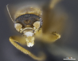  ( - cvb410pho001)  @12 [ ] No Rights Reserved  Christoph von Beeren TU Darmstadt