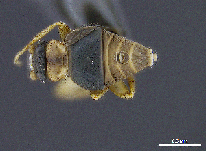  ( - cvb597pho013)  @12 [ ] No Rights Reserved  Christoph von Beeren TU Darmstadt