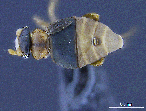  ( - cvb725pho002)  @12 [ ] No Rights Reserved  Christoph von Beeren TU Darmstadt