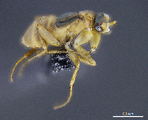  ( - cvb725pho002)  @12 [ ] No Rights Reserved  Christoph von Beeren TU Darmstadt