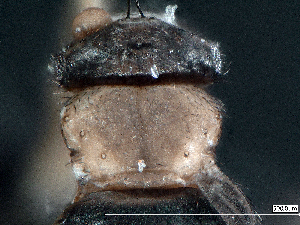  ( - cvb750pho014)  @12 [ ] No Rights Reserved  Christoph von Beeren TU Darmstadt