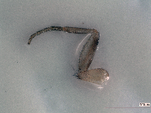  ( - cvb750pho014)  @12 [ ] No Rights Reserved  Christoph von Beeren TU Darmstadt