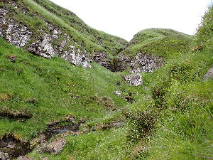  ( - EDNA24-0066545)  @11 [ ] CreativeCommons  Attribution Non-Commercial Share-Alike (2025) David Belll Royal Botanic Garden Edinburgh