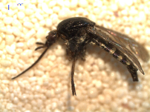  ( - MACN-Bar-Ins-ct 03520)  @12 [ ] Copyright (2012) MACN MACN