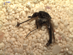  ( - MACN-Bar-Ins-ct 03585)  @12 [ ] Copyright (2012) MACN MACN