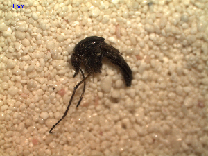  ( - MACN-Bar-Ins-ct 03625)  @12 [ ] Copyright (2012) MACN MACN