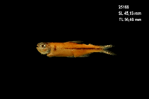  ( - LBPV-25166)  @14 [ ] Unspecified (default): All Rights Reserved  Unspecified Unspecified