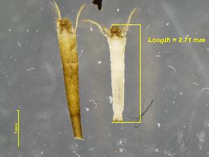  ( - 347A-01_COI)  @11 [ ] No Rights Reserved (2018) Unspecified U.S. EPA GLTED