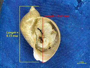  ( - 457A-01_COIF)  @11 [ ] No Rights Reserved (2018) Unspecified U.S. EPA GLTED