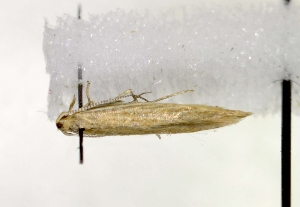  ( - MM16722)  @12 [ ] Unspecified (default): All Rights Reserved  Unspecified Unspecified