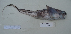  ( - 3M08106CMO)  @13 [ ] Unspecified (default): All Rights Reserved  Unspecified Unspecified