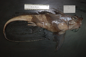  ( - AN054LOBRPA)  @13 [ ] Unspecified (default): All Rights Reserved  Unspecified Unspecified