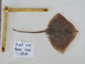  ( - R000026)  @13 [ ] Unspecified (default): All Rights Reserved  Unspecified Unspecified