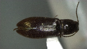  ( - SRG0314)  @11 [ ] Unspecified (default): All Rights Reserved  Unspecified Unspecified