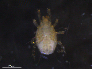  ( - BIOUG35462-C12)  @11 [ ] CreativeCommons - Attribution (2019) CBG Photography Group Centre for Biodiversity Genomics