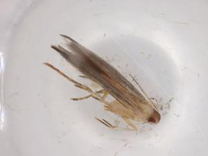  ( - BIOUG95761-B09)  @11 [ ] CreativeCommons - Attribution (2022) Centre for Biodiversity Genomics Centre for Biodiversity Genomics