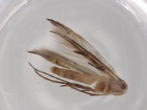  ( - BIOUG95761-H07)  @11 [ ] CreativeCommons - Attribution (2022) Centre for Biodiversity Genomics Centre for Biodiversity Genomics