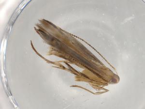  ( - BIOUG95941-G12)  @11 [ ] CreativeCommons - Attribution (2022) Centre for Biodiversity Genomics Centre for Biodiversity Genomics