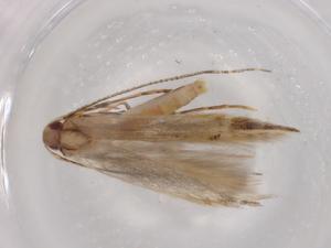  ( - BIOUG95942-F03)  @11 [ ] CreativeCommons - Attribution (2022) Centre for Biodiversity Genomics Centre for Biodiversity Genomics