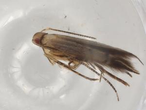  ( - BIOUG96365-B03)  @11 [ ] CreativeCommons - Attribution (2023) Centre for Biodiversity Genomics Centre for Biodiversity Genomics