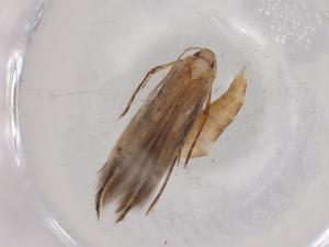  ( - BIOUG96632-C04)  @11 [ ] CreativeCommons - Attribution (2022) Centre for Biodiversity Genomics Centre for Biodiversity Genomics