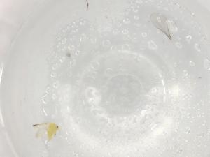  ( - BIOUG95743-B12)  @11 [ ] CreativeCommons - Attribution (2022) Centre for Biodiversity Genomics Centre for Biodiversity Genomics