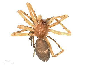  ( - CBG-B16535-H07)  @11 [ ] CreativeCommons - Attribution Share - Alike (2025) CBG Photography Group Centre for Biodiversity Genomics