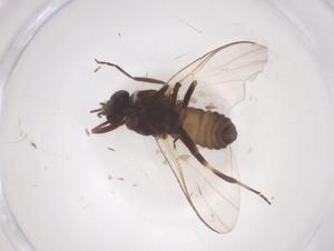  ( - CBG-B18124-B10)  @11 [ ] CreativeCommons - Attribution Share - Alike (2025) Centre for Biodiversity Genomics Centre for Biodiversity Genomics