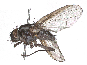  ( - CBG-B15992-D04)  @11 [ ] CreativeCommons - Attribution Share - Alike (2025) CBG Photography Group Centre for Biodiversity Genomics