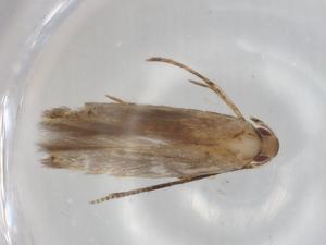  ( - BIOUG95144-E10)  @11 [ ] CreativeCommons - Attribution (2022) Centre for Biodiversity Genomics Centre for Biodiversity Genomics