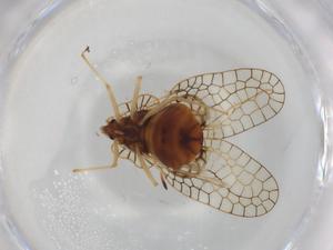  ( - BIOUG95651-F03)  @11 [ ] CreativeCommons - Attribution (2022) Centre for Biodiversity Genomics Centre for Biodiversity Genomics