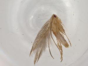  ( - BIOUG94969-A03)  @11 [ ] CreativeCommons - Attribution (2022) Centre for Biodiversity Genomics Centre for Biodiversity Genomics