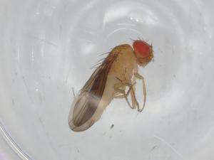  ( - BIOUG94984-B12)  @11 [ ] CreativeCommons - Attribution (2022) Centre for Biodiversity Genomics Centre for Biodiversity Genomics