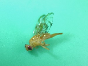  ( - Sample-EPMF04)  @12 [ ] Unspecified (default): All Rights Reserved  A. Oropeza Unspecified