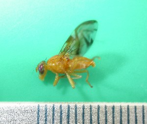 ( - Sample-EPMF31)  @12 [ ] Unspecified (default): All Rights Reserved  Unspecified Unspecified