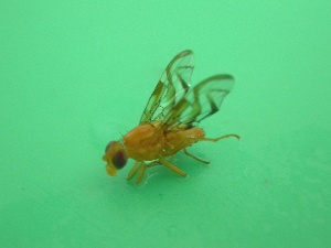  ( - Sample-EPMF31)  @12 [ ] Unspecified (default): All Rights Reserved  Unspecified Unspecified