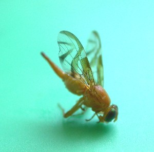  ( - Sample-EPMF32)  @12 [ ] Unspecified (default): All Rights Reserved  Unspecified Unspecified