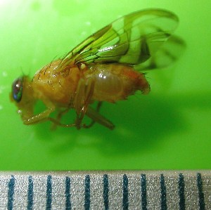  ( - Sample-EPMF35)  @12 [ ] Unspecified (default): All Rights Reserved  Unspecified Unspecified